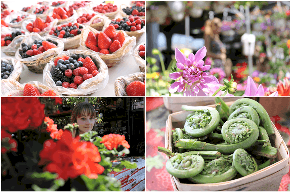 Marché Jean-Talon