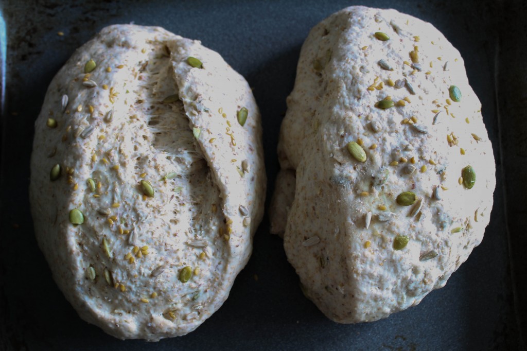 Multigrain bread dough