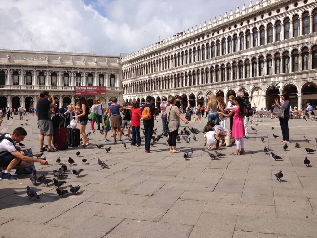 Feeding pigeons