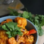 spicy coconut and sweet potato curry
