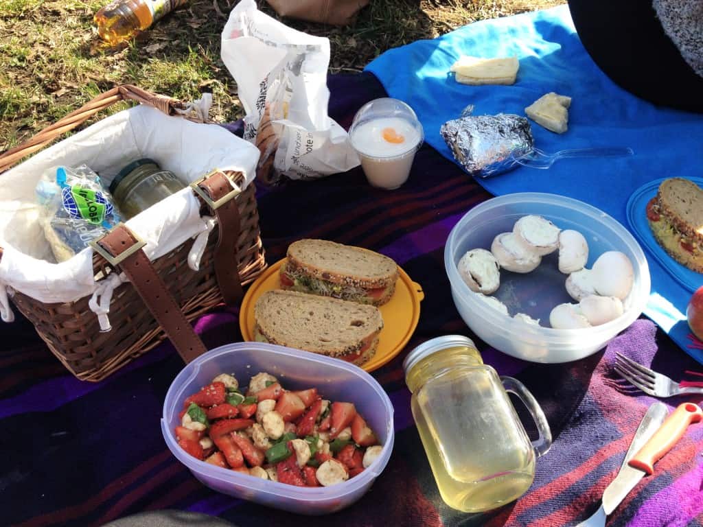 First picnic of the year! 