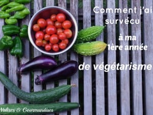 pourquoi devenir végétarien + astuces pour vous faciliter la tâche - www.valisesetgourmandises.com