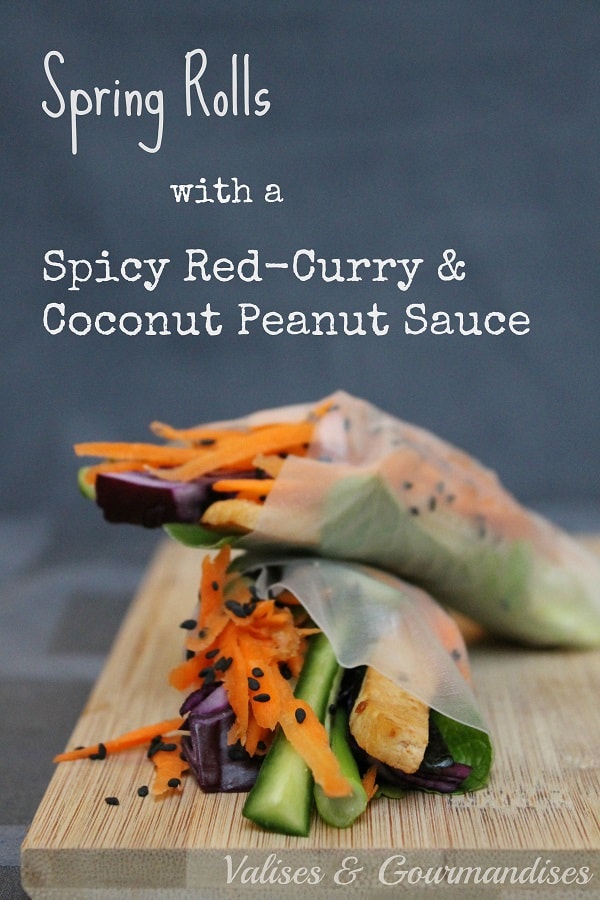 Spring rolls with a Spicy red curry & coconut peanut sauce
