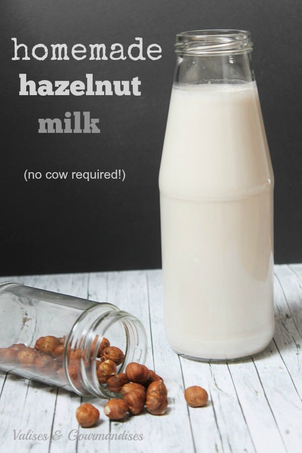 homemade hazelnut milk