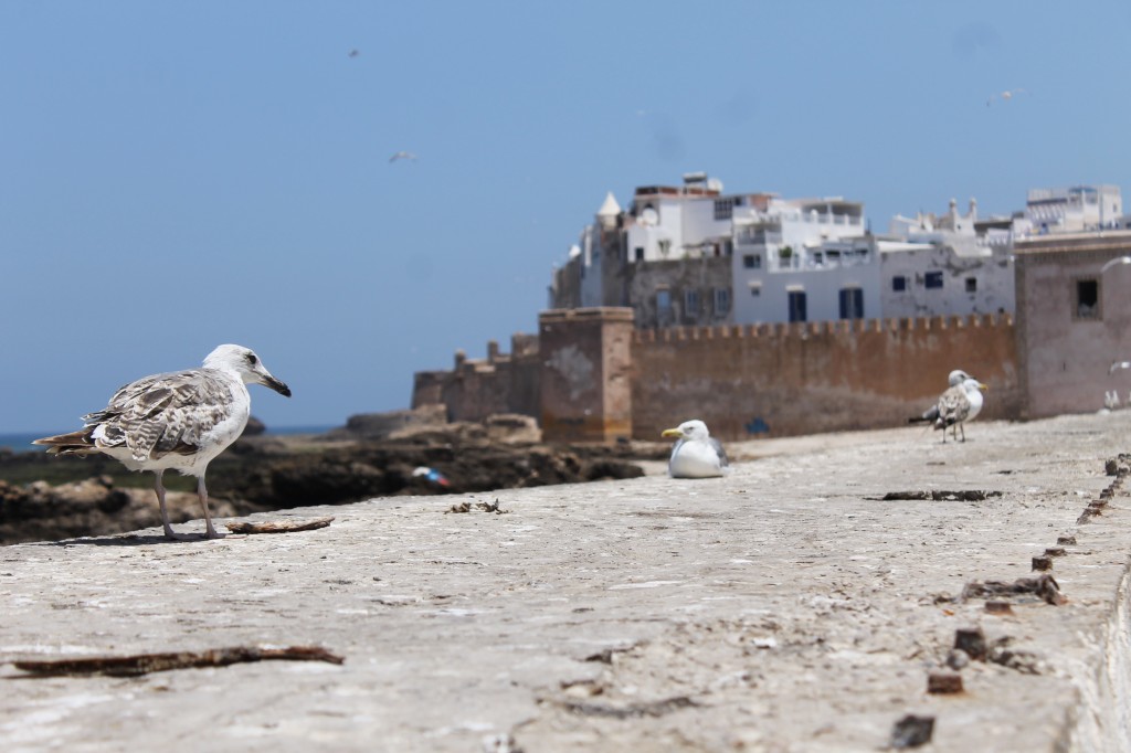 Essaouira, Morocco