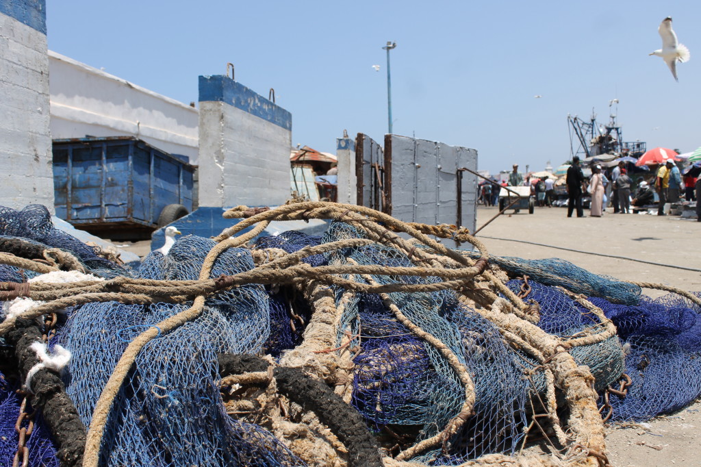 Fish market in Essaouira