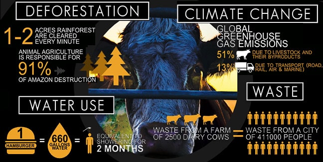 Cowspiracy facts - Ma liste de ressources sur le végétalisme