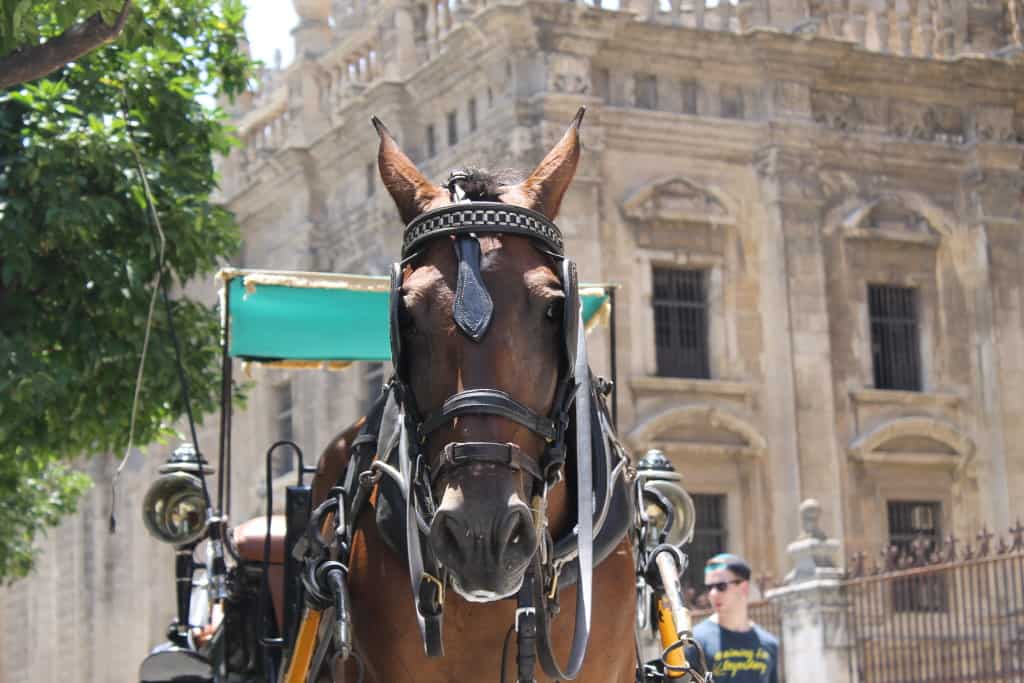 Postcards from Seville 