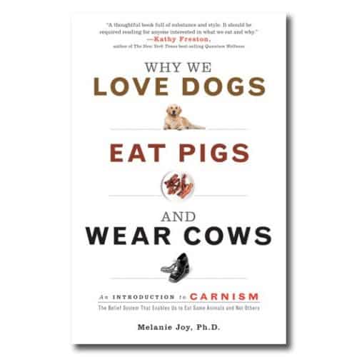 Why we love dogs, eat pigs and wear cows - My resource list on veganism