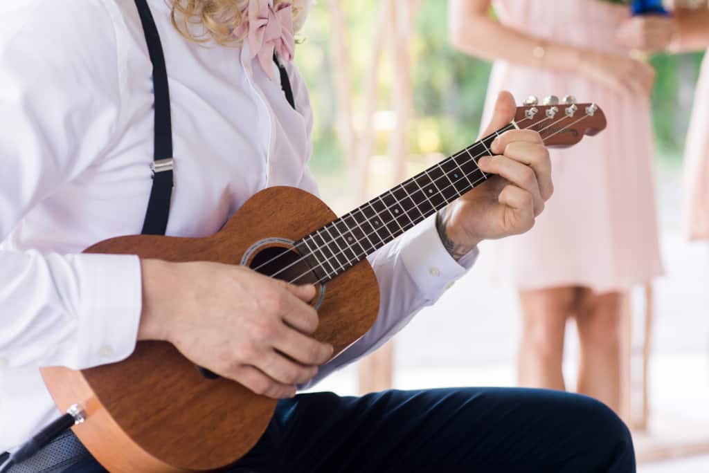 Somewhere Over the Rainbow, mon mariage végane