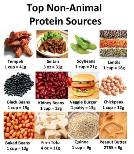Plant-based sources of proteins