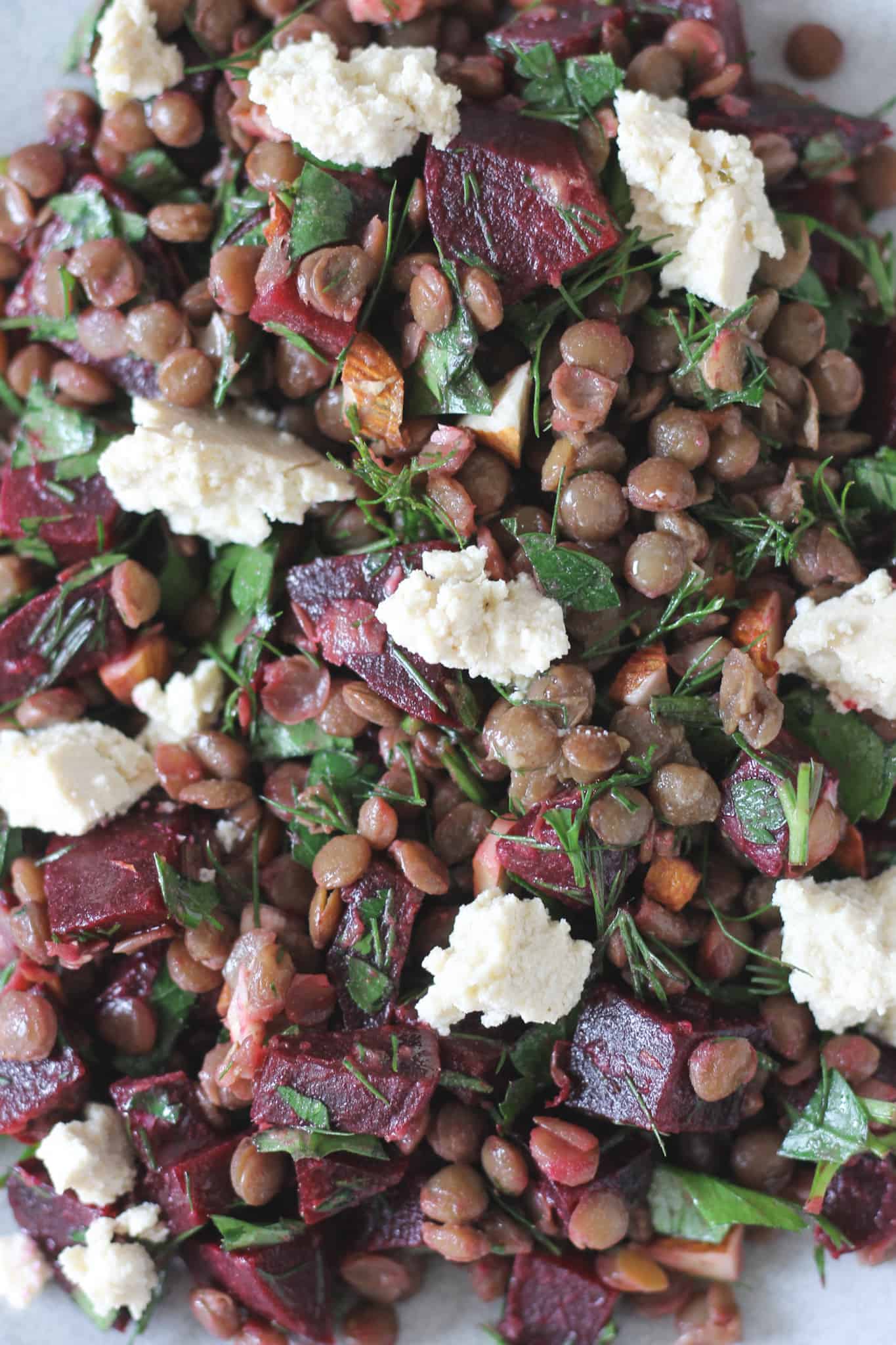 Close up of lentil and beetroot salad with tofu feta and fresh herbs 